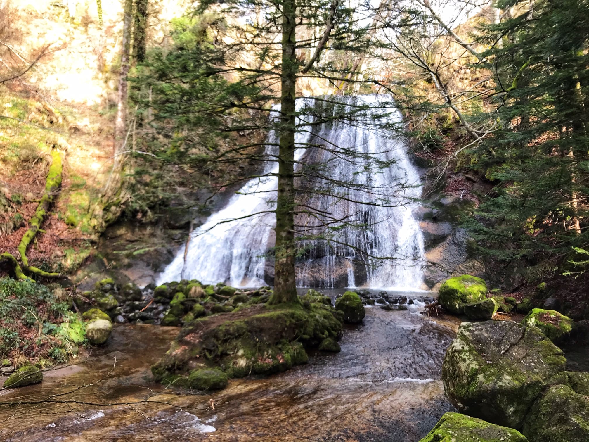 Cascade Pissa Del Coin