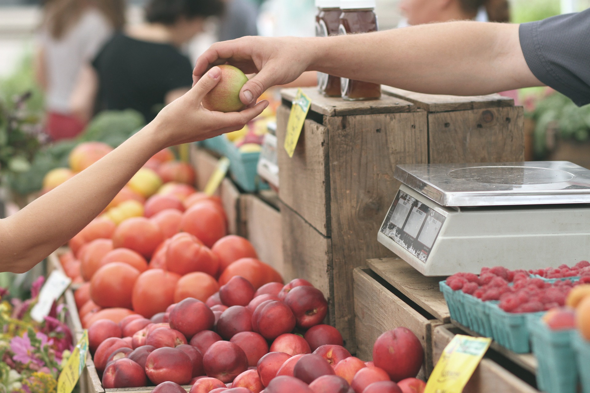 "Les marchés en Pays de Salers"