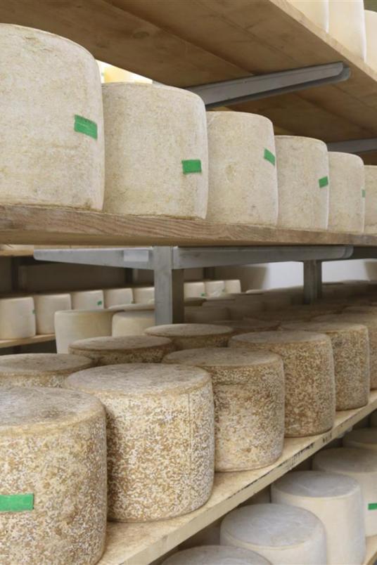 Nos fromages Coopéerative Saint-Bonnet-de-Salers