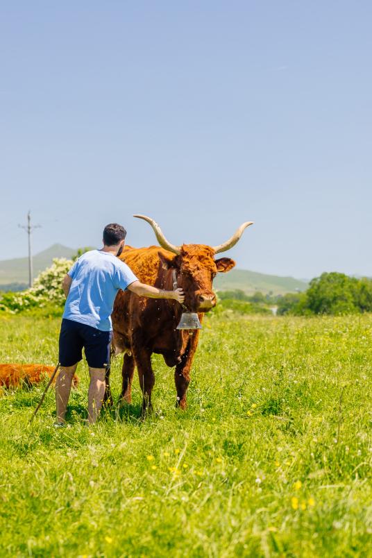 ©Office de Tourisme Pays de Salers