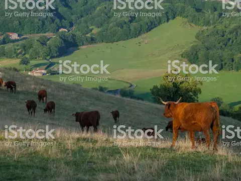  Exemple de sous sous-titre (H3)