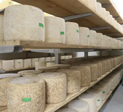 Nos fromages Coopéerative Saint-Bonnet-de-Salers
