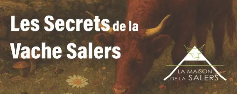 Jeu de piste Les Secrets de la vache Salers