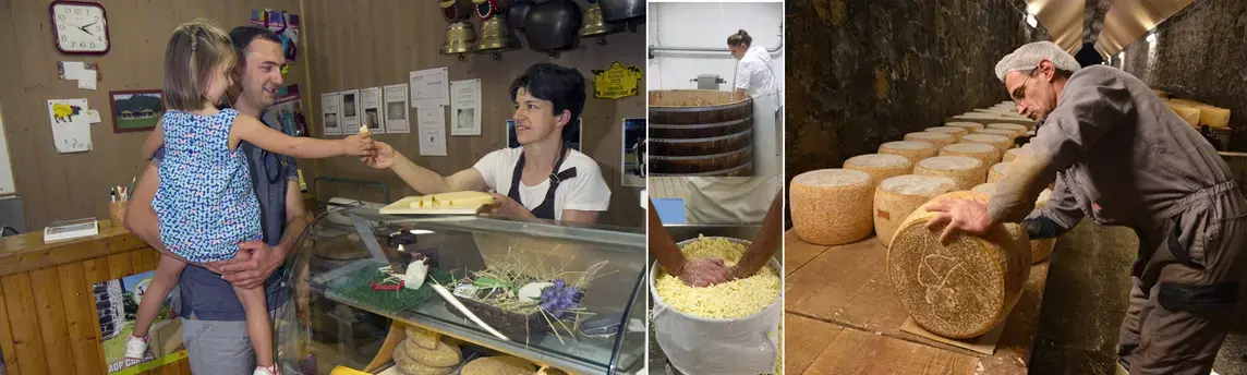 Savoir-faire fromage Pays de Salers Savoir-faire fromage Pays de Salers